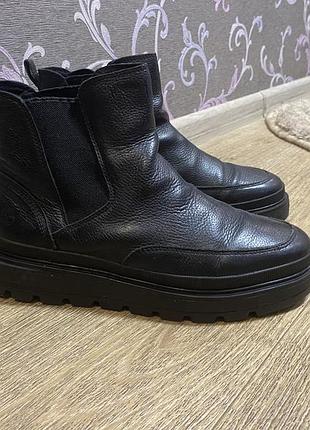 Черевики шкіряні жіночі timberland