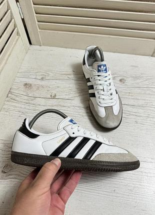 Кросівки adidas samba