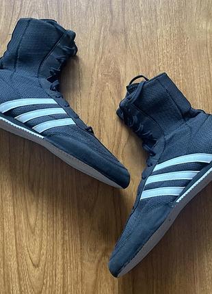 Чоловічі боксерки кросівки для боксу adidas box hog 2