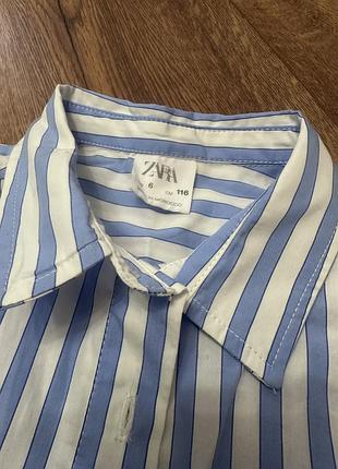 Сорочка, рубашка zara 116 6