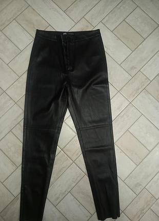 Лосіни zara m