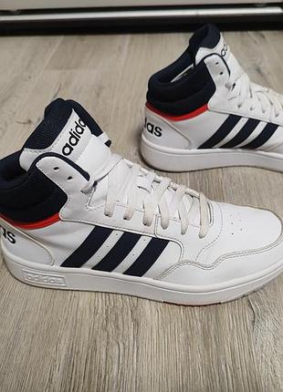 Кроссовки adidas hoops 3.0 mid classic vintage