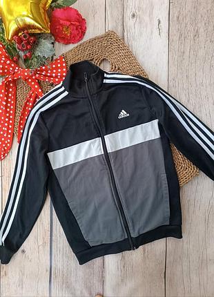 Спортивна кофта adidas на хлопчика