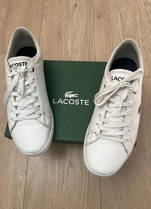Оригінальні базові кросівки lacoste (розмір 39)