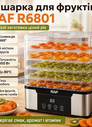 Сушарка для фруктів на 5 ярусів, 350вт, raf r6801, сірий електросушарка для фруктів і овочів електричне сушіння для овочів