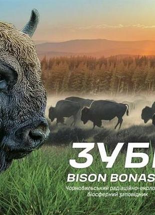 Монета зубр 5 гривен 2026 г. новинка! в буклете