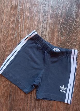 Шорти adidas