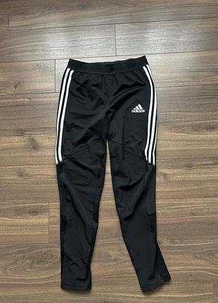 Чоловічі спортивні штани adidas codivo