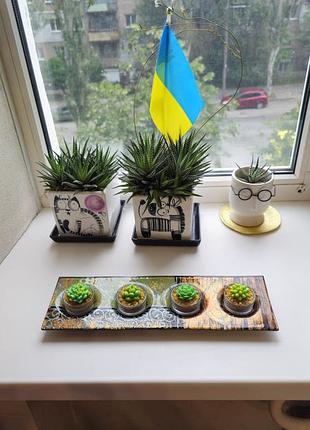Аромаски суккуленты вместе с подсвечником 2