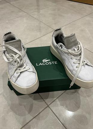 Снікерст lacoste