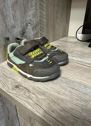 Кросівки clarks steggy2 park у сіро-зеленому кольорі