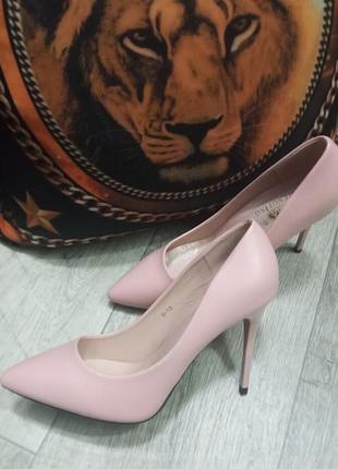 Жіночі туфлі човника ніжна пудра