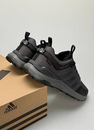 Adidas terrex gtx graphite grey 2