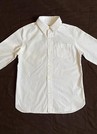 Сорочка хлопчику crewcuts, 10