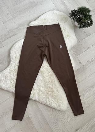 Лосіни adidas