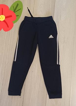 Спортивные штаны джоггеры  adidas