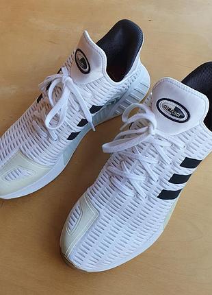 Кроссовки мужские adidas climacool 02/17 р.47