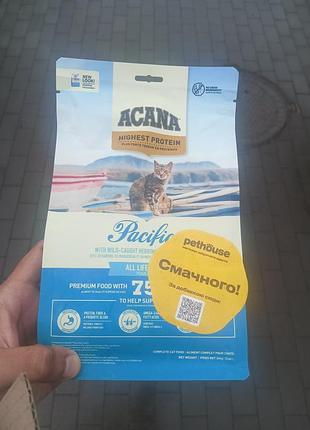 Корм каcana pacificica cat - 3 упаковки по 340 грамм цена за все