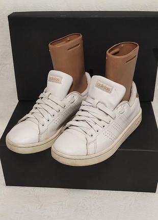 Белые женские кроссовки adidas advantage в классическом теннисном стиле с перфорированными полосками