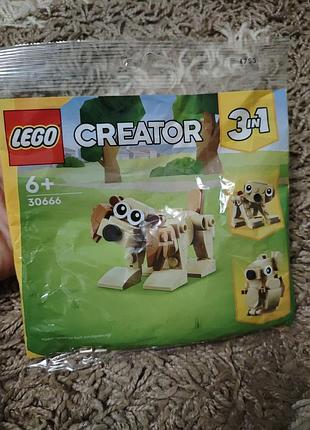 Мини-набор (полибэг) lego creator 3in1: подарочные животные (gift animals) под артикулом 30666.