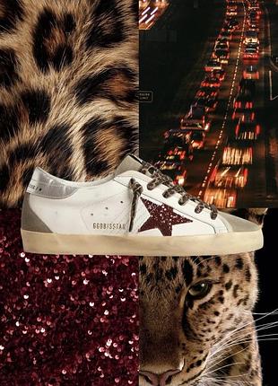 Кеди golden goose superstar