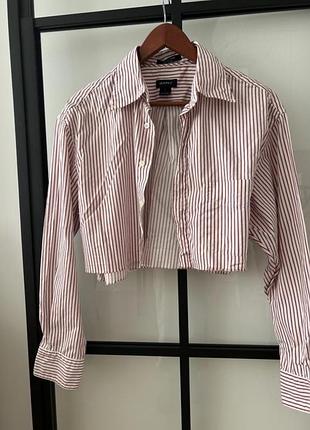 Оригінальна сорочка в полоску gant