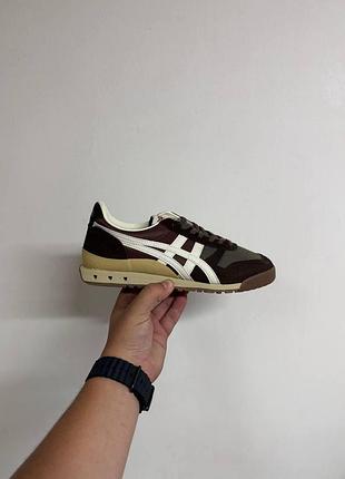 Tiger ultimate 81 brown-cream