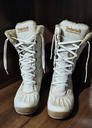 Timberland earth keepers mount holly