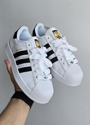 Adidas superstar 
• white black •
