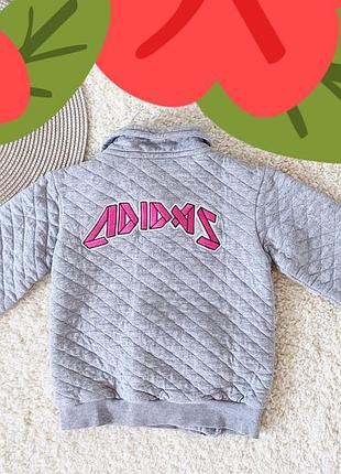 Кофта  adidas 2