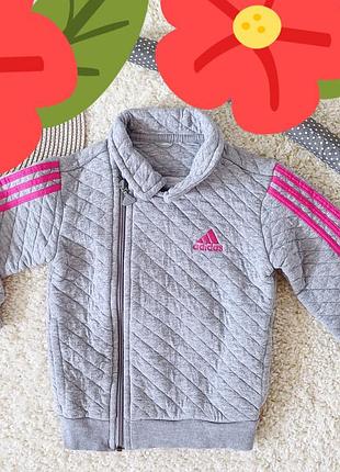 Кофта  adidas