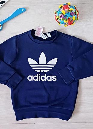 Свитшот  adidas