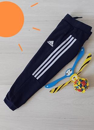 Спортивные штаны джоггеры adidas