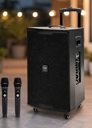 Караоке-колонкаskic t2 pro + 2 микрофона.