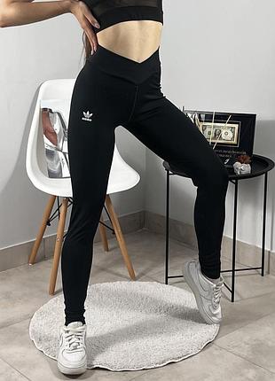 Лосини від adidas
