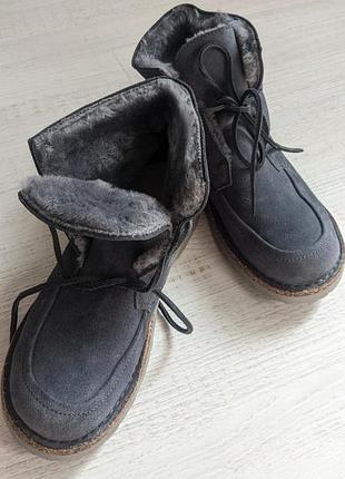 Черевики жіночі birkenstock bakki сині