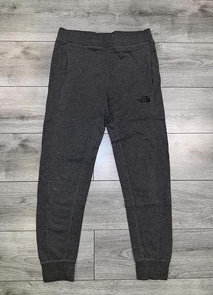 Чоловічі спортивні штани the north face