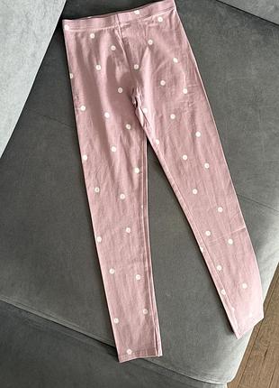 Лосіни h&m