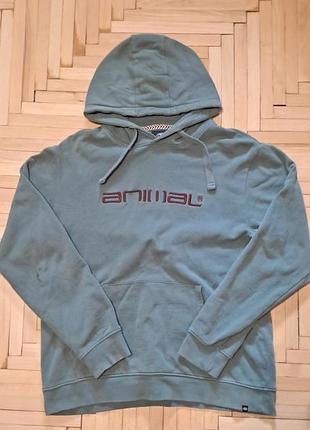 Animal sweter
