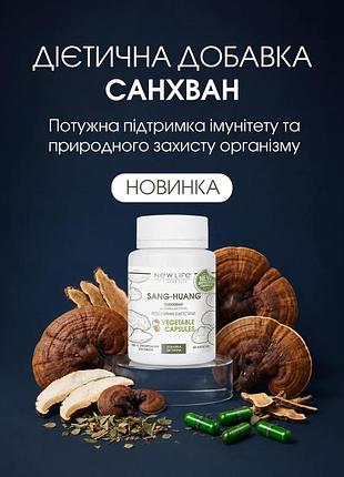 Новинка! дієтична добавка санхван || sang-huang 🍄‍🟫🌿