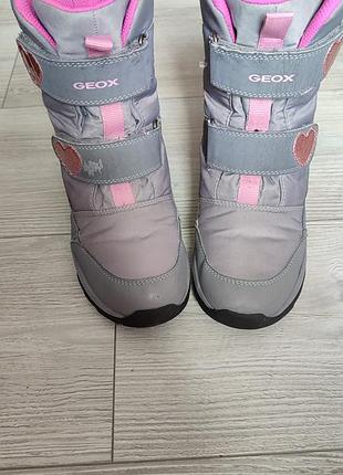Сапожки термо geox amphibiox 2