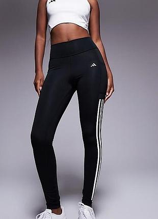 Нові спортивні лосіни adidas