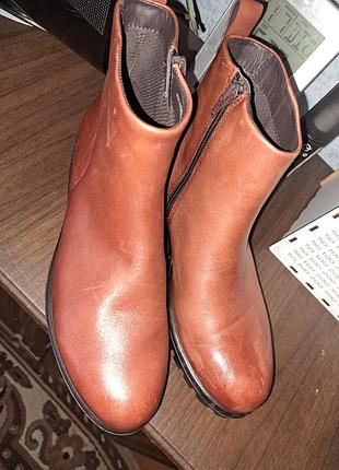 Черевики ecco modtray
