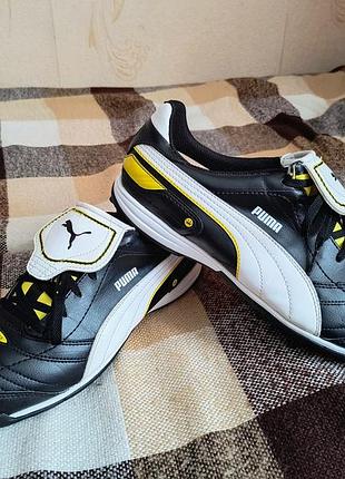 Сороконожки puma esito finale tt
