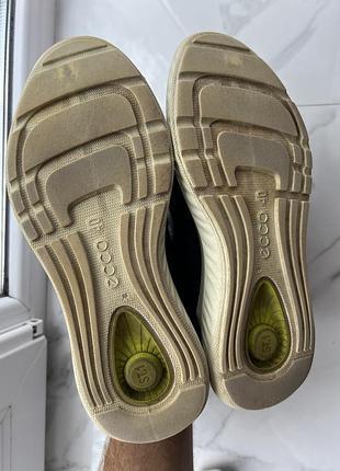 Кросівки ecco 3