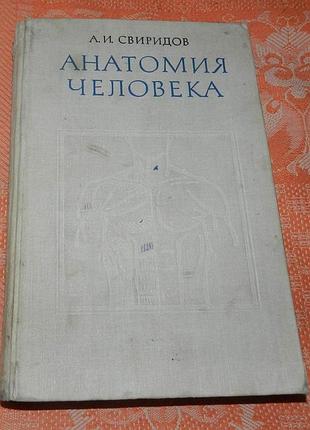А. и. свиридов. анатомия человека