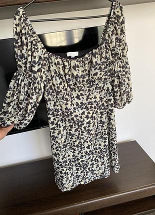 Сукня topshop