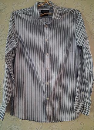Рубашка на пуговицах из итальянского коттона massimo dutti