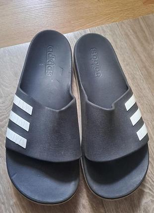 Шлепанцы мужские adidas
