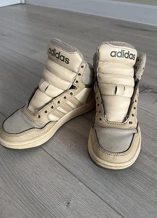 Зимові кросівки  adidas